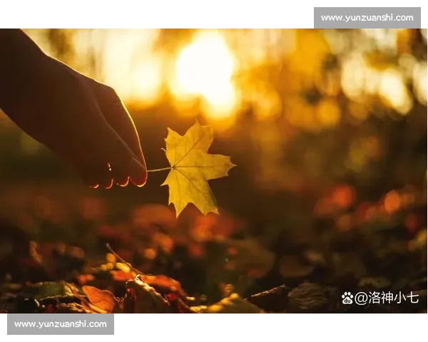 捕捉生活中最美的瞬间展现，感受每一刻的精彩与无限可能